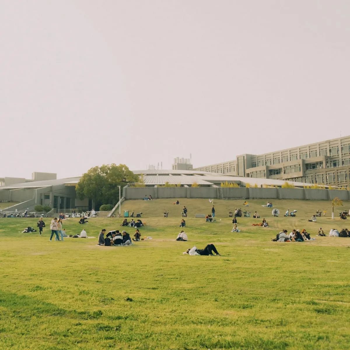University of the Punjab